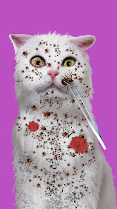 Cat ASMR: Salon Makeover图片4