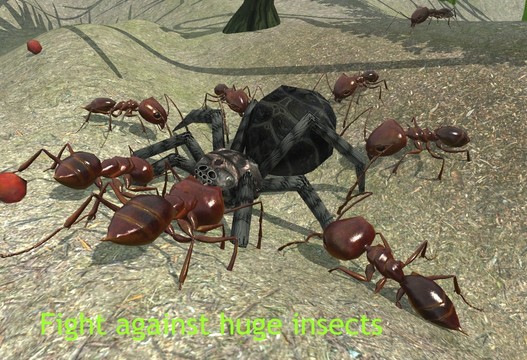 蚂蚁模拟3D图片8