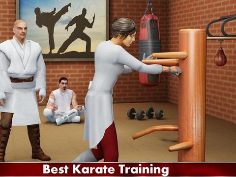 Royal Karate Training Kings: Kung Fu Fighting 2018图片1