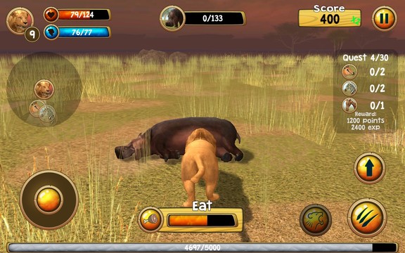 Wild Lion Simulator 3D图片6