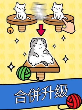 猫咪公寓 - Cat Condo图片9