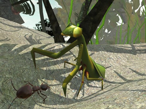 蚂蚁模拟3D图片2