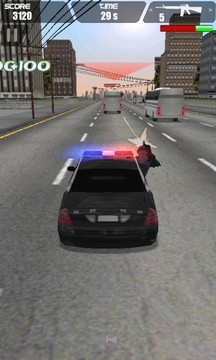 3D警车追击图片4