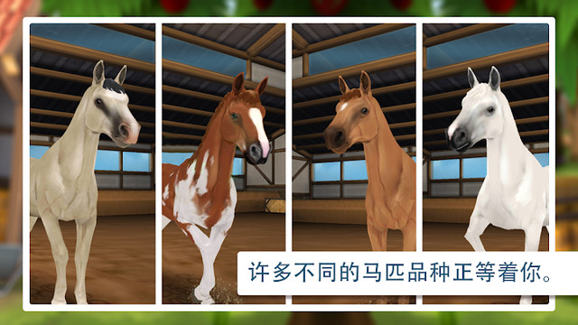 HorseHotel - 照顾马儿们图片7
