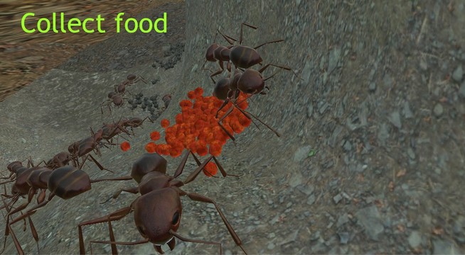 蚂蚁模拟3D图片4