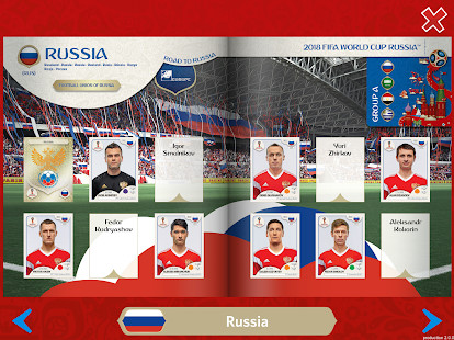 Panini Sticker Album图片18