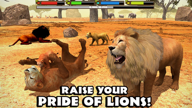 Ultimate Lion Simulator图片7