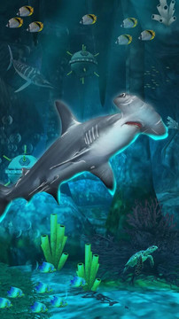 鲨鱼模拟器巨齿鲨图片2