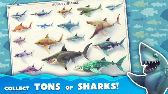 饥饿鲨：世界图片7