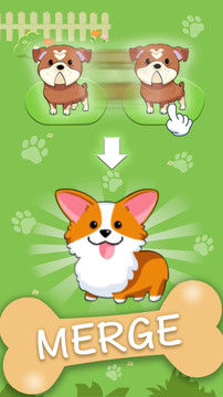 Puppy Town图片1