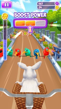 Pet Run - Puppy Dog Game图片6