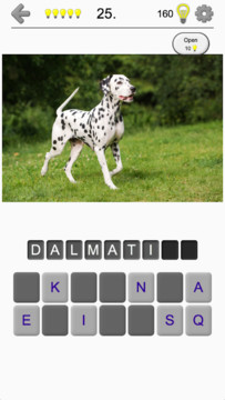 Dogs Quiz - Guess Popular Dog Breeds in the Photos图片6