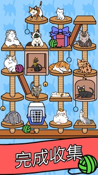 猫咪公寓 - Cat Condo图片7