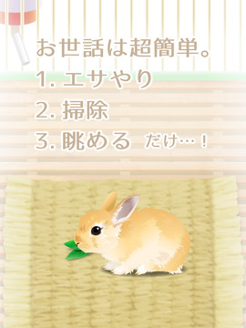 癒しのウサギ育成ゲーム图片8