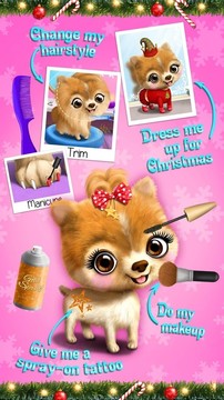 Christmas Animal Hair Salon 2图片9