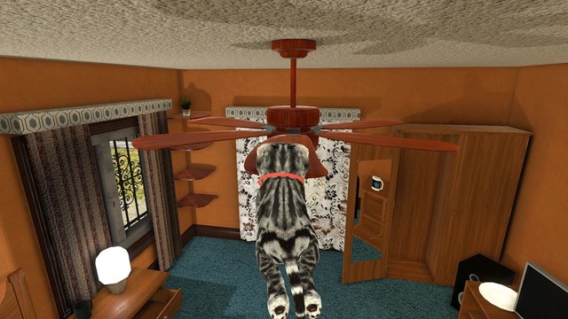 动物猫模拟器图片7