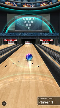 Bowling Game 3D FREE图片3