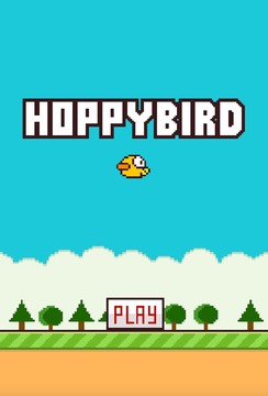 Hoppy Bird图片2