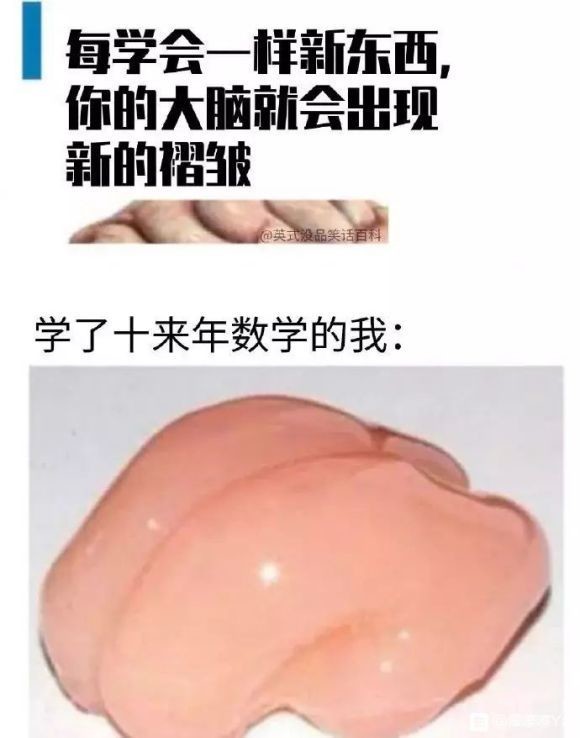 数学是真的懵逼！