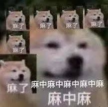 许个愿吧