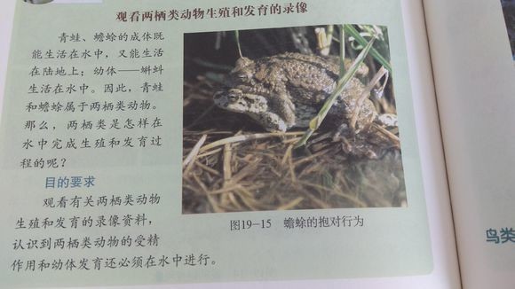 我们的生物书