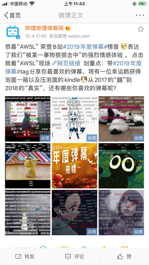 AWSL荣登破站2019年度弹幕榜首