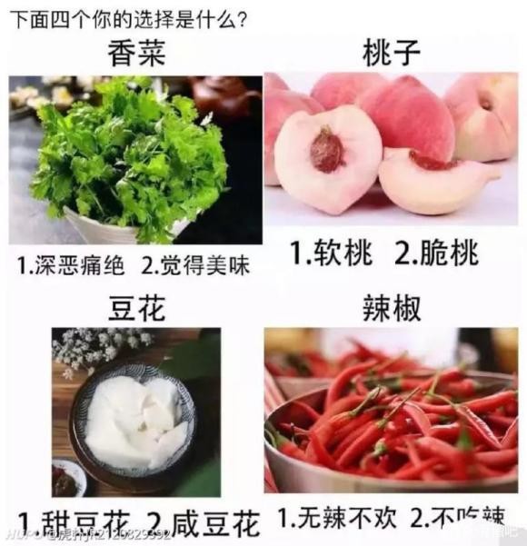 稽友们怎么选呢？这四个。