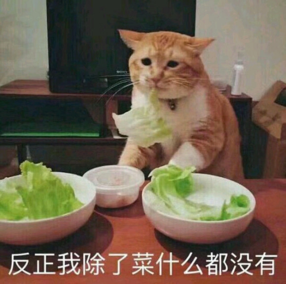 如何一句话证明自己很菜