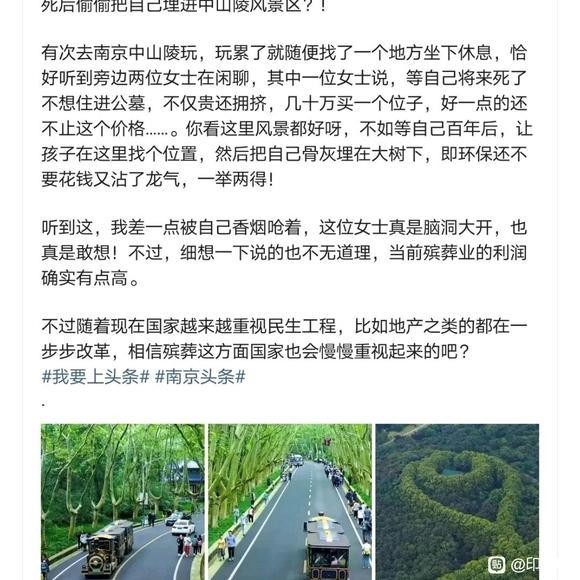 死后偷偷把自己埋在中山陵风景区