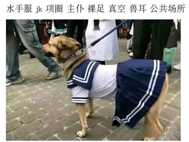 犹大变成神之键