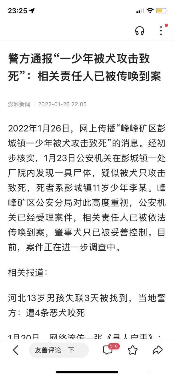 现在最大的问题不是因为被狗咬而得狂犬病，而是直接活活被狗咬死