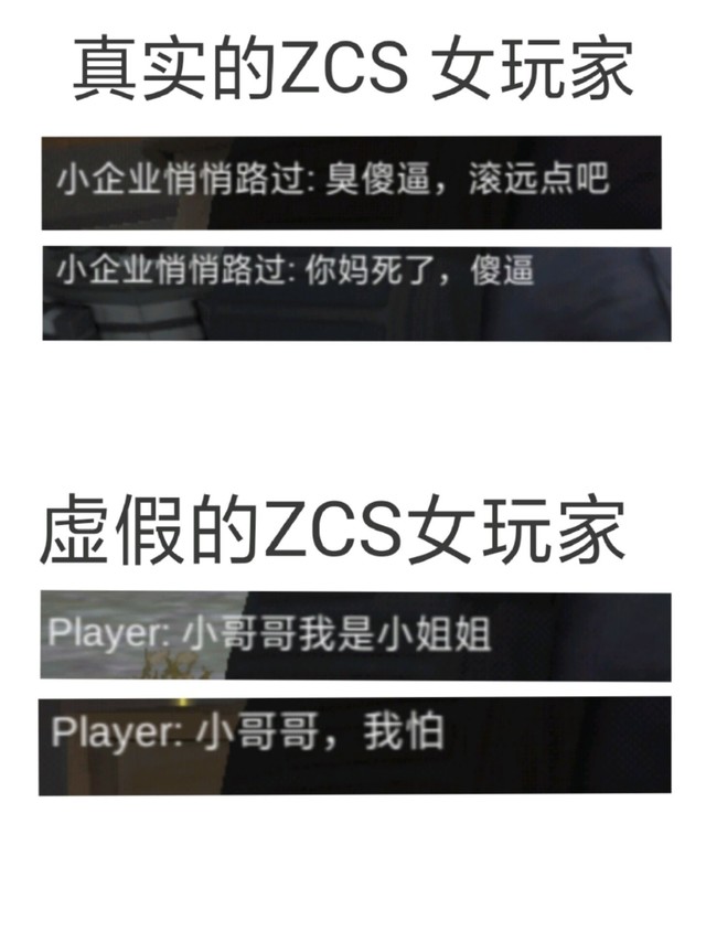 如何区分ZCS真正的女玩家