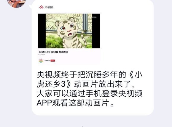 央视放出了小虎还乡第三部