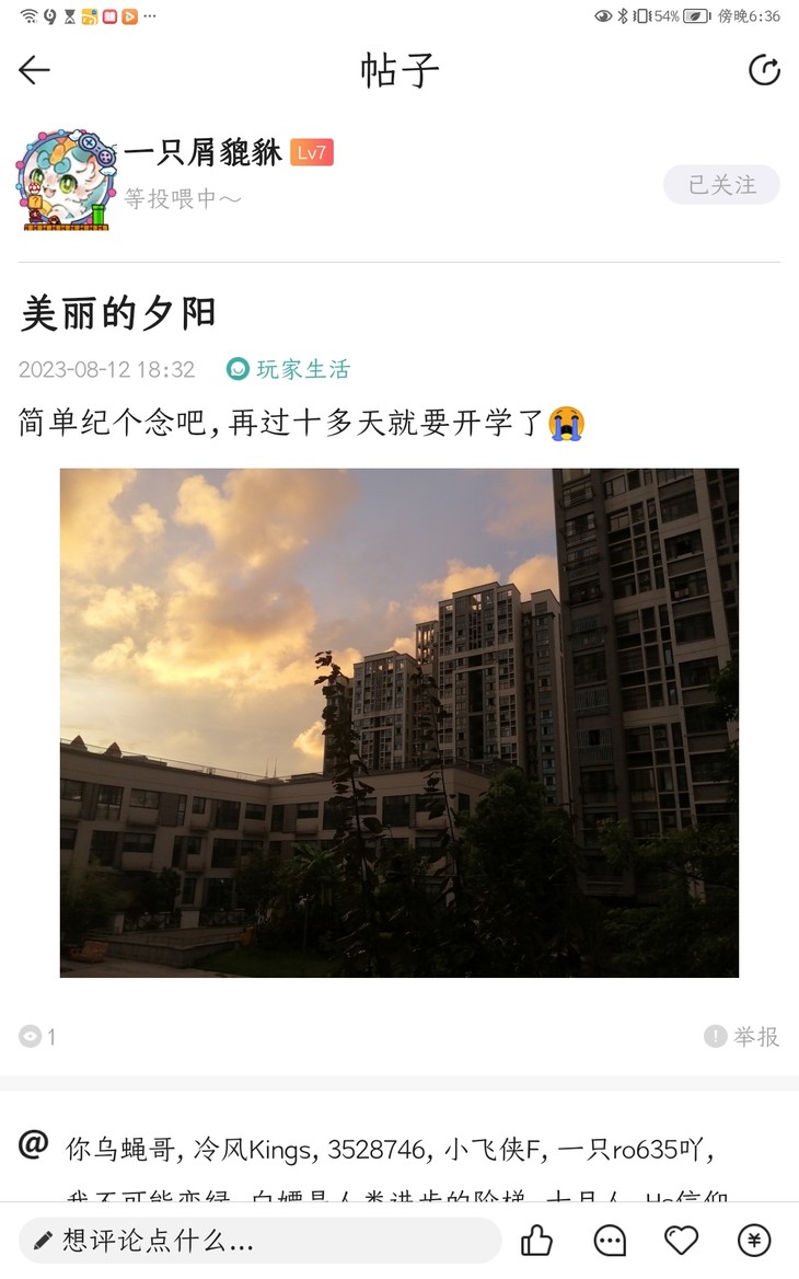 美丽的夕阳