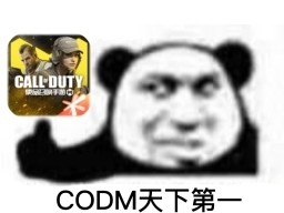 CODM最新武器平衡性调整