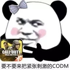 codm沙雕图