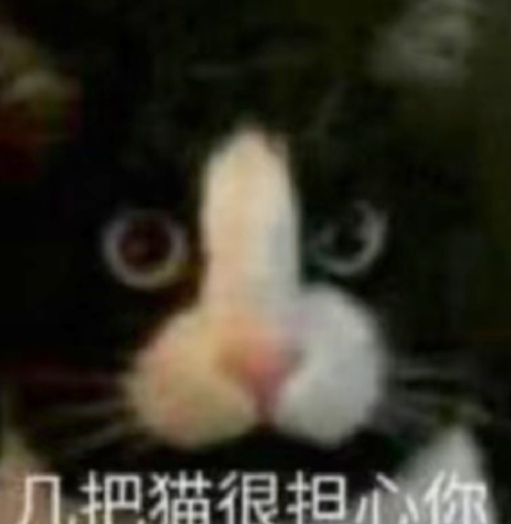 黑猫3