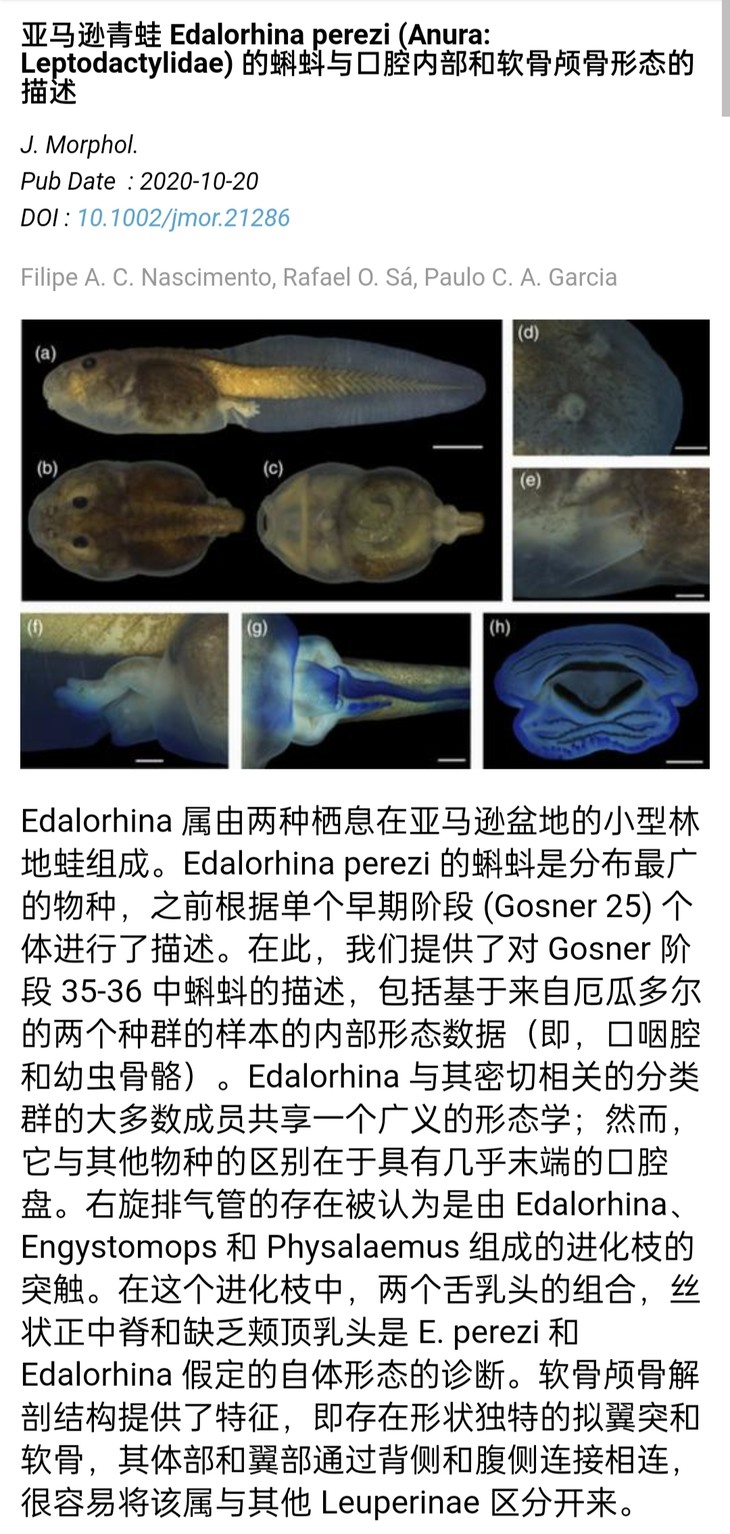 有没有什么想看的电影但是没资源