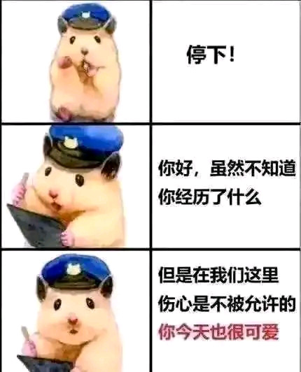 鼠鼠我啊