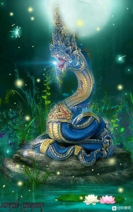 印度的龙神/蛇神:纳迦(Naga)