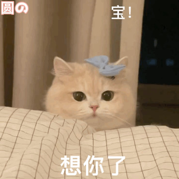 啦咯啦咯啦咯💤