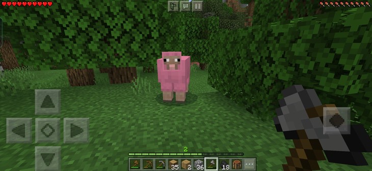 粉 红 羊