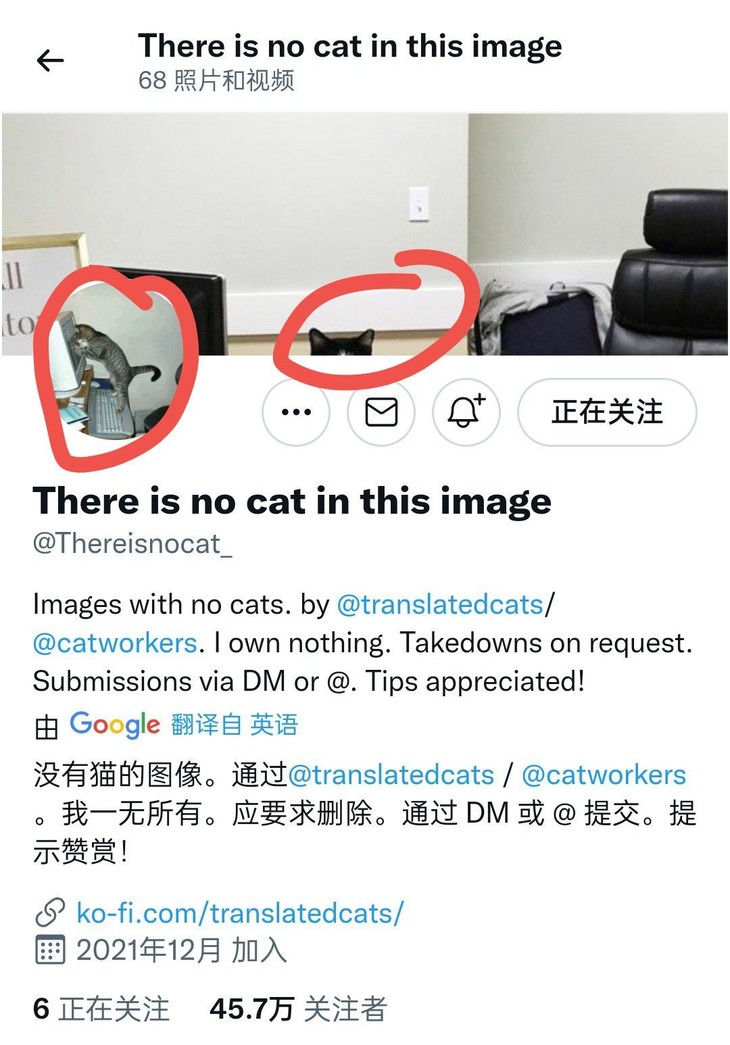 看图找猫