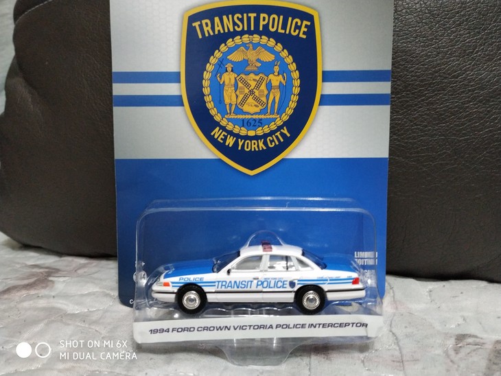 TRANSIT POLICE(纽约过境警察)
