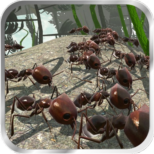 蚂蚁模拟3D修改版