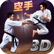 Karate Fighting Tiger 3D