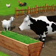 1099/5000 畜牧饲料生长农场：养殖和饲养牛