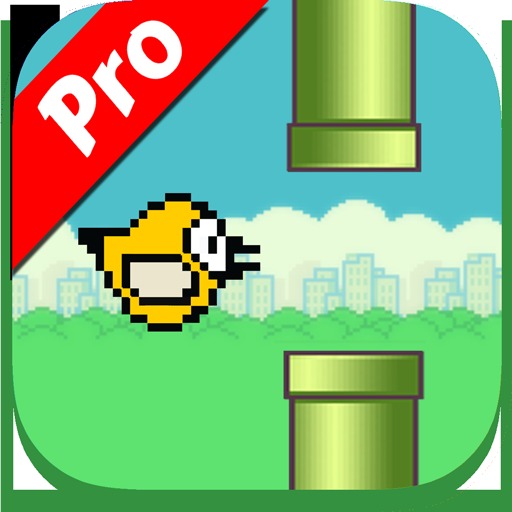 Happy Bird Pro