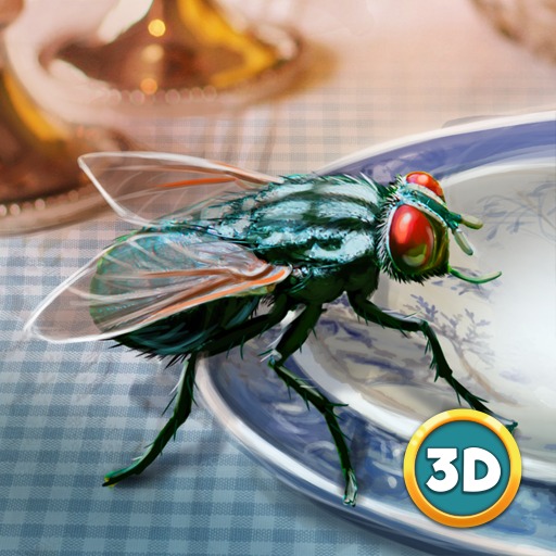 Insect Fly Simulator 3D