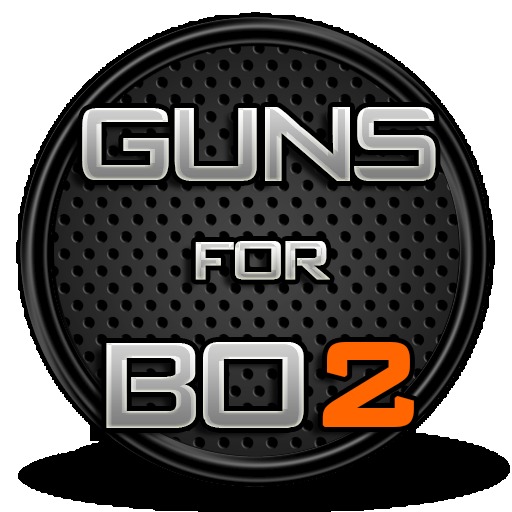 Guns for BO2